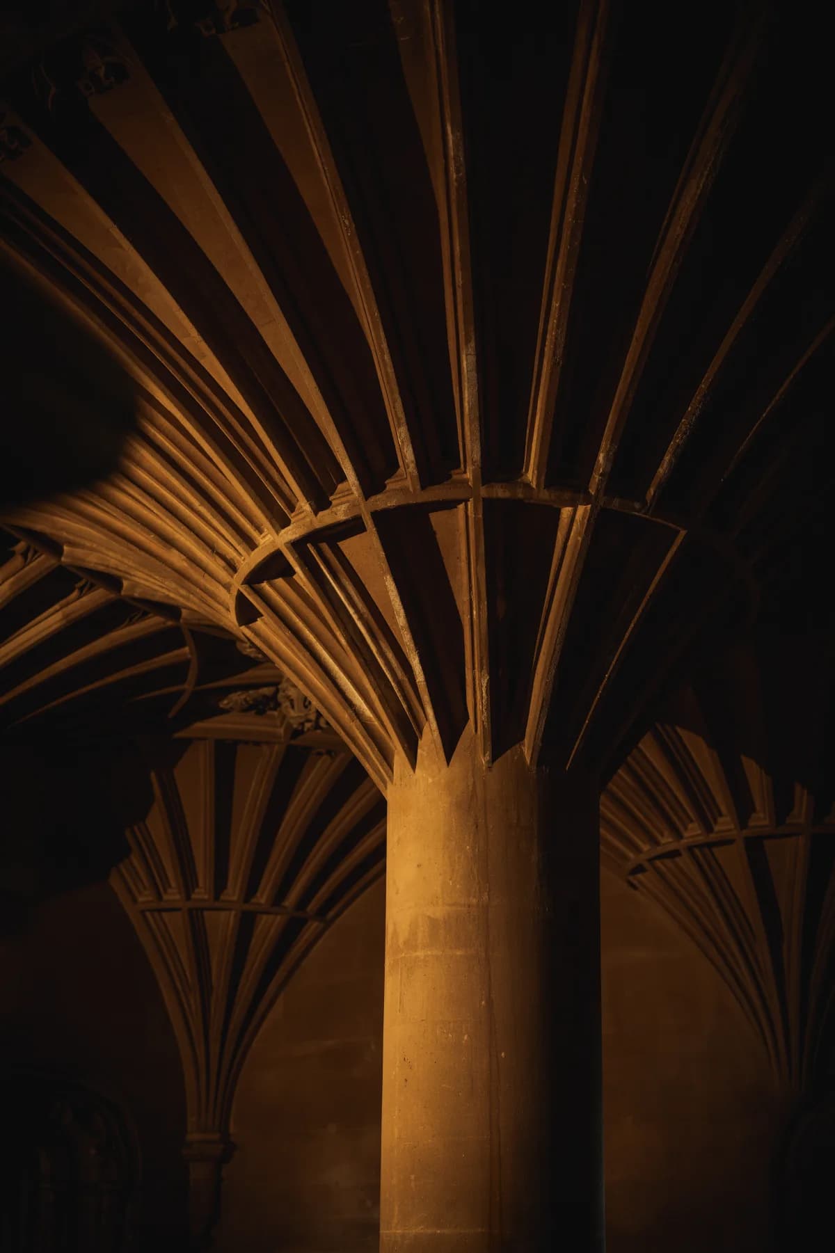 Parties, Dinners & Meetings at Ashton Court Mansion
